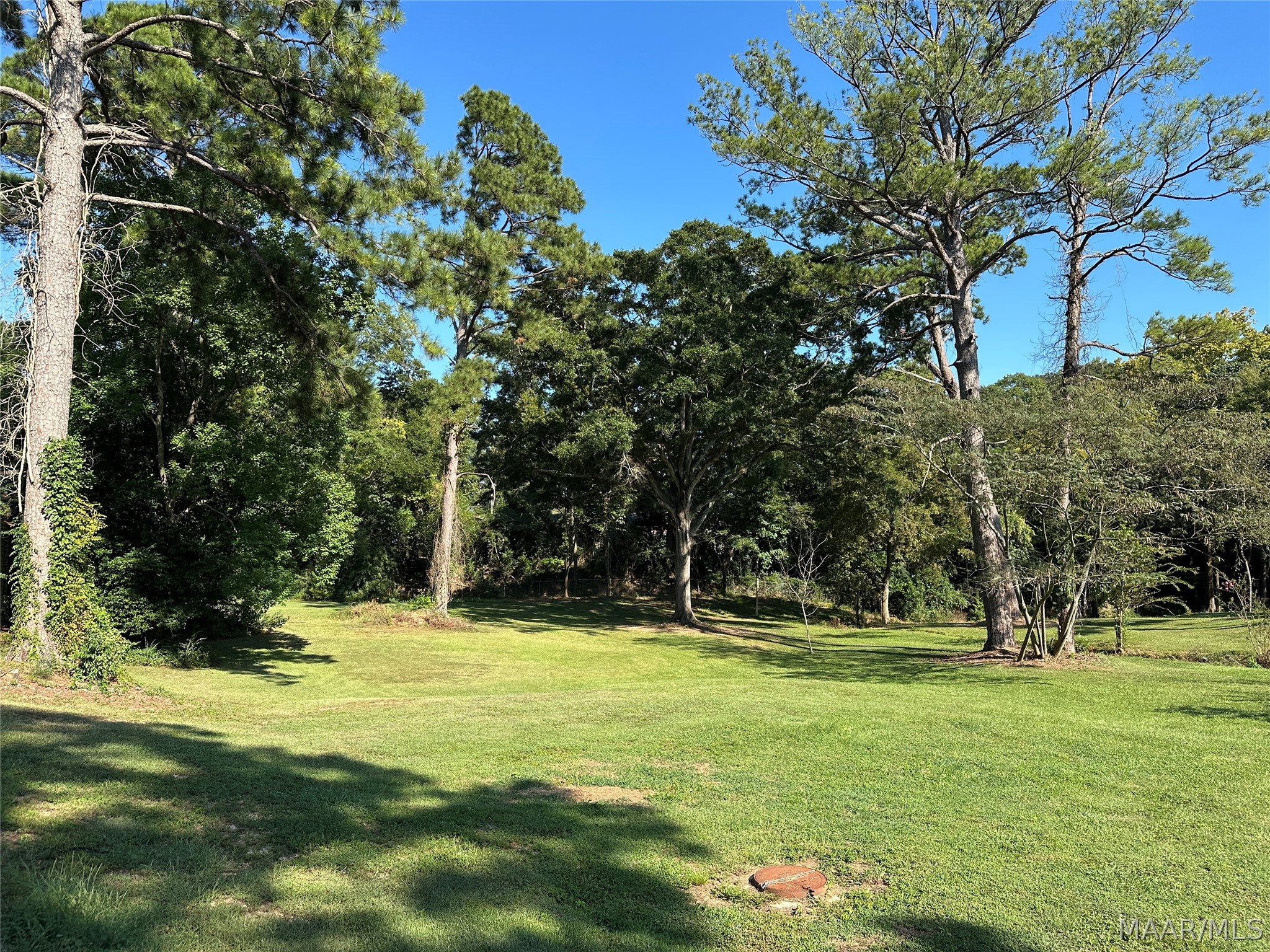 1124 Newton Street - Photo 3