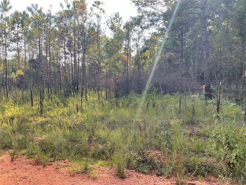 Photo of 0 Cleghorn Drive, Tallassee, AL 36078 (MLS # 563476) Photo of 0 Cleghorn Drive, Tallassee, AL 36078 (MLS # 563476)