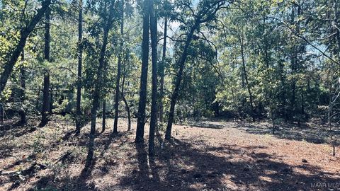 Photo of 00 County Road 69, Prattville, AL 36067 (MLS # 580413)