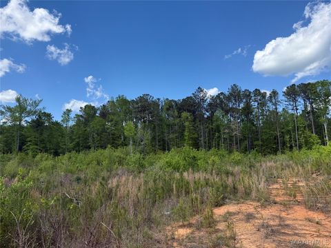 Photo of 0 County rd 45 Road, Rockford, AL 35136 (MLS # 585808)