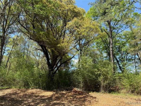 Photo of 0 County Road 81, Booth, AL 36008 (MLS # 582640)