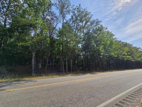 Photo of 0 Highway 80, Shorter, AL 36075 (MLS # 589707)