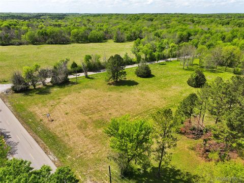 Photo of 0 Judkins Road, Pike Road, AL 36064 (MLS # 585365)