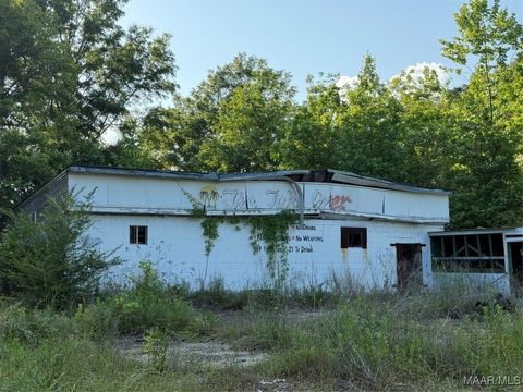 Photo of 1030 Idaho Street, Selma, AL 36701 (MLS # 576201)