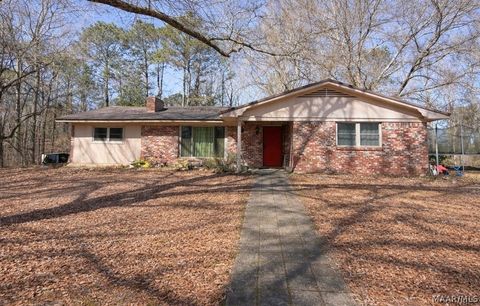 Photo of 924 Old Salem Road, Eclectic, AL 36024 (MLS # 583797)
