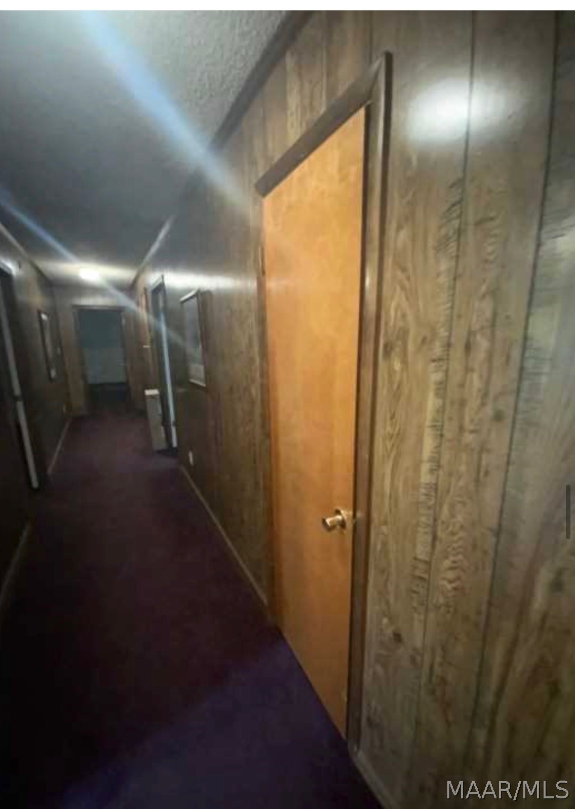 2521 Parkway Drive - Photo 4
