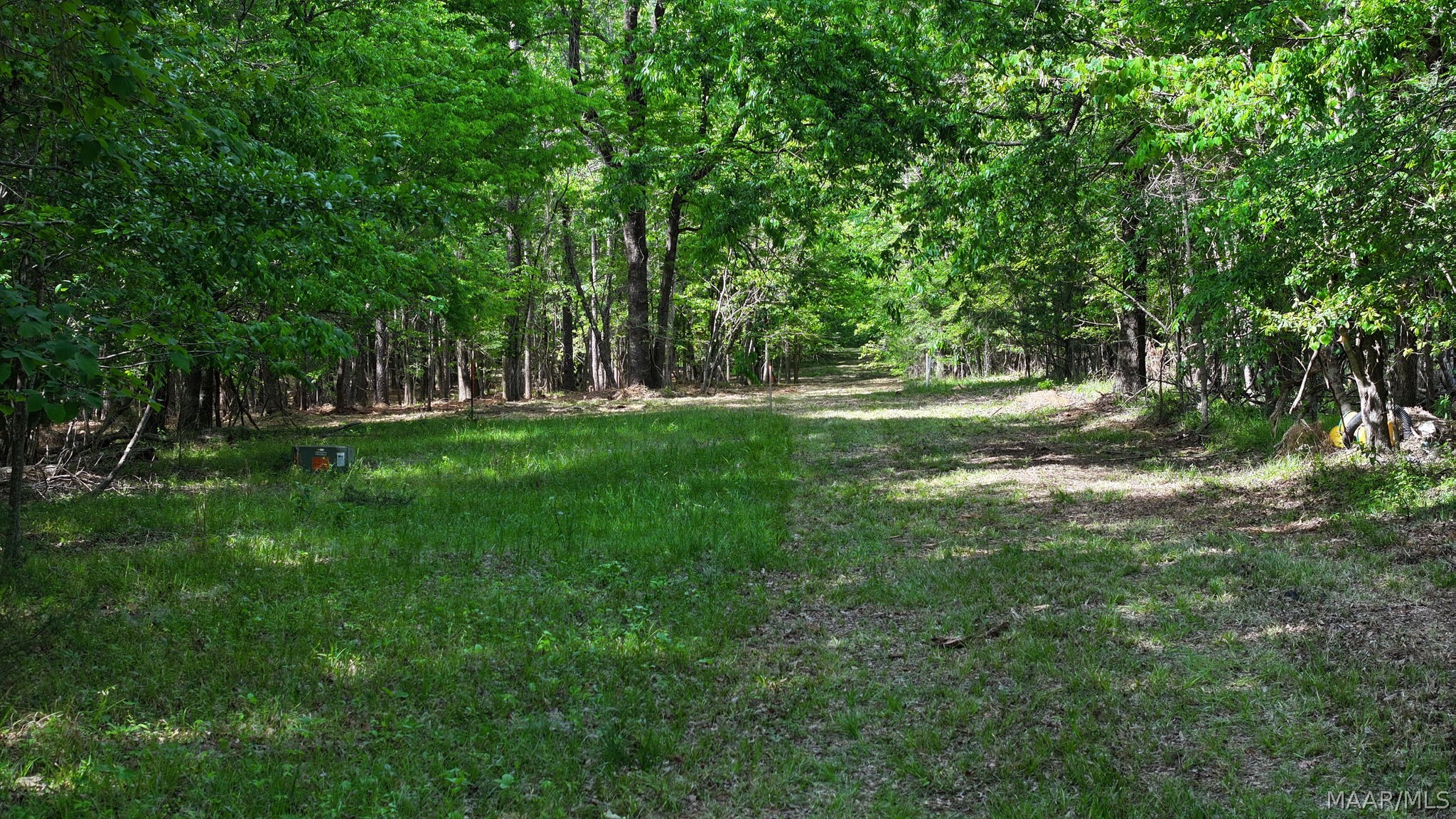 263 Edgewood Court - Photo 3