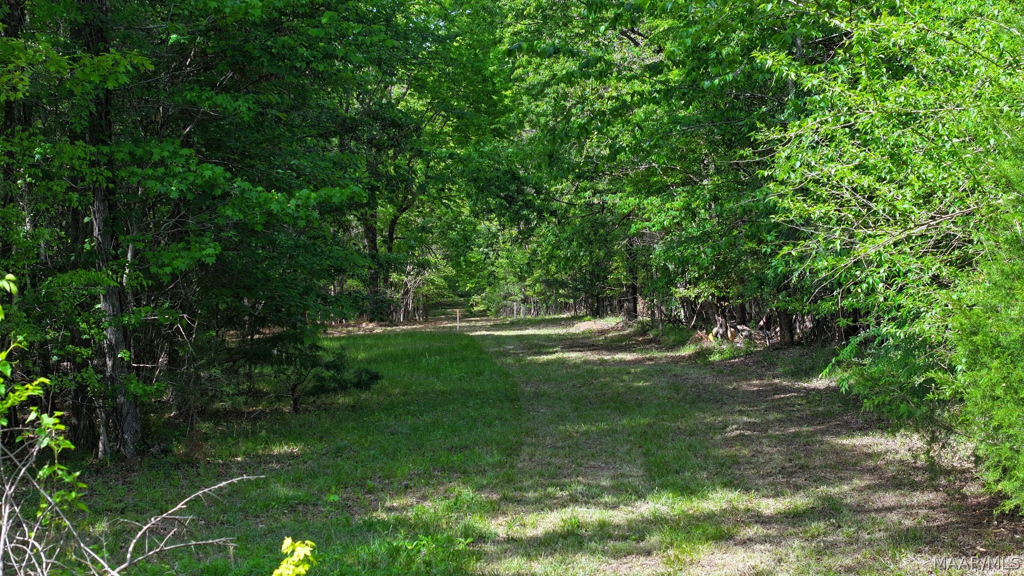 263 Edgewood Court - Photo 2