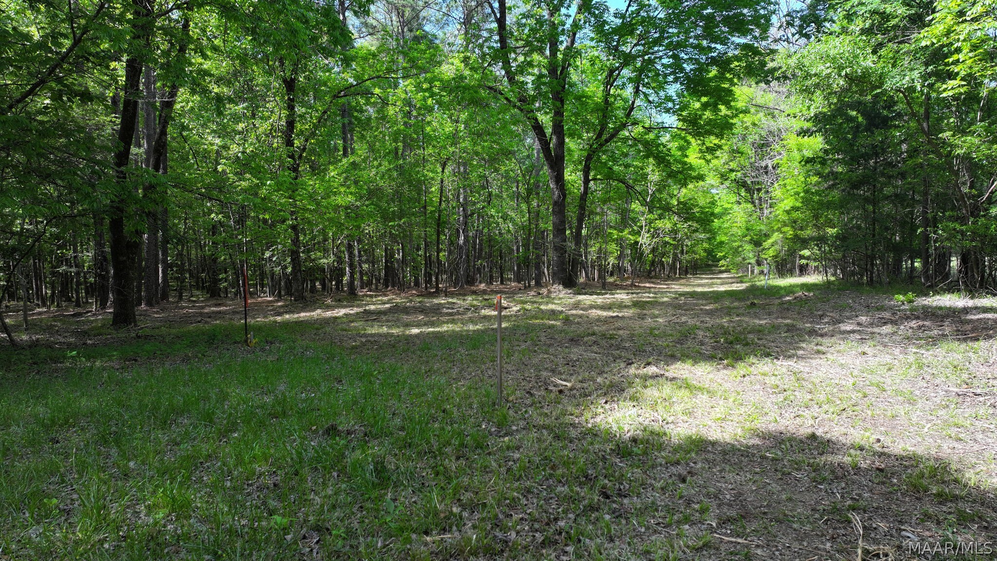 263 Edgewood Court - Photo 4