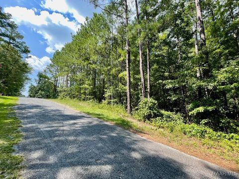 Photo of 23 Cotton Lane, Alexander City, AL 35010 (MLS # 580634)