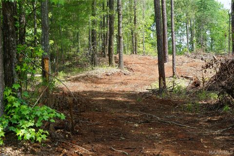 Photo of 1300 Jackson Road, Fitzpatrick, AL 36029 (MLS # 587116)