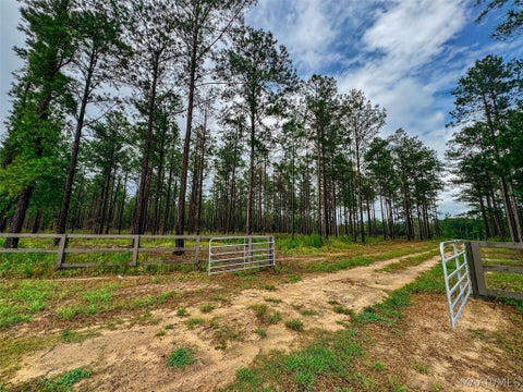 Photo of 12 County Road 24 Road, Auburn, AL 36830 (MLS # 591208)