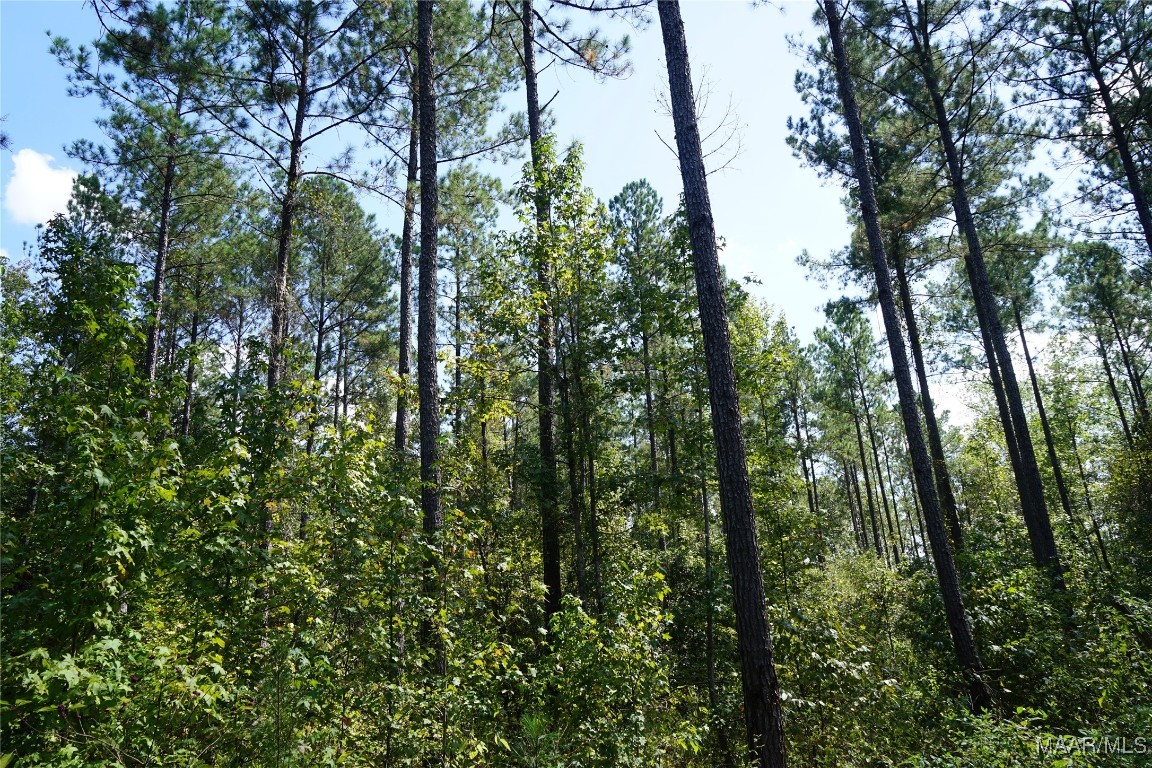 1911 County Road 56 Road