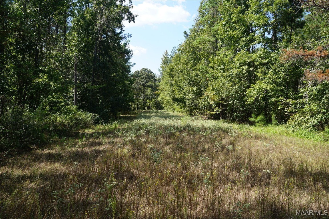 1911 County Road 56 Road