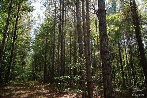 Photo of 1911 County Road 56 Road, Buena Vista, AL 36425 (MLS # 581405)