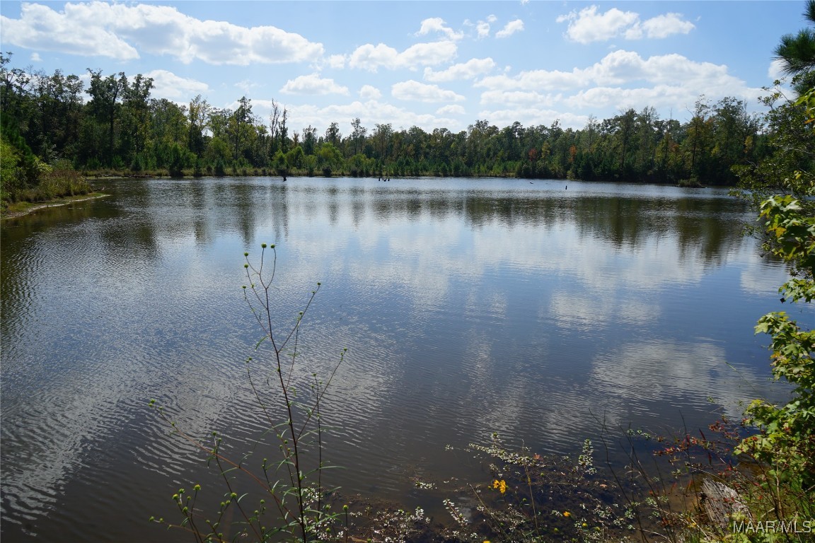 1911 County Road 56 Road