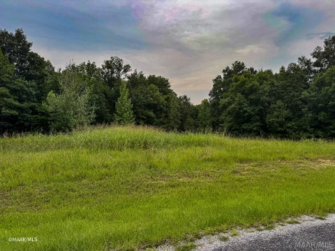 Photo of 48 Legacy Shores, Alberta, AL 36720 (MLS # 587708)