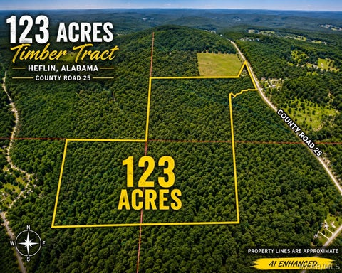 Photo of 0 County Road 25, Heflin, AL 36264 (MLS # 590102)