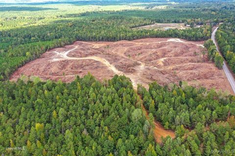 Photo of 13033 Highway 43, Linden, AL 36748 (MLS # 580897)