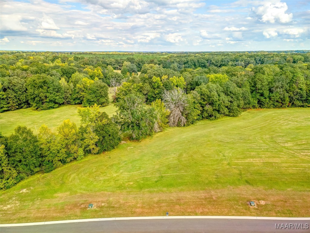 Photo 1 of 1 — Lot 18 Hidden Oaks Avenue, Pike Road, AL 36064