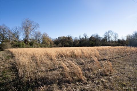 Photo of 1303 County RD 8 Road, Coy, AL 36435 (MLS # 568280)