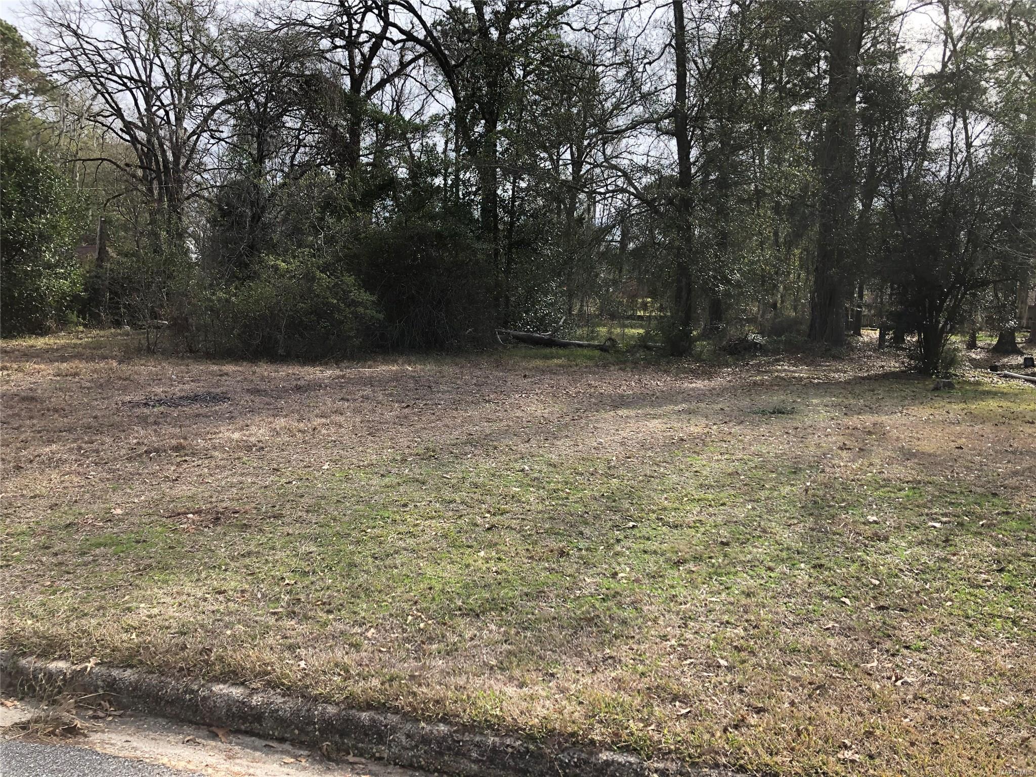Photo 1 of 1 — 155 PINETREE Drive, Pike Road, AL 36117