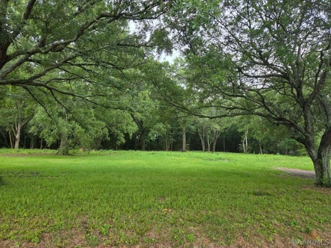 Photo of 3455 Selma Highway, Montgomery, AL 36108 (MLS # 587323)