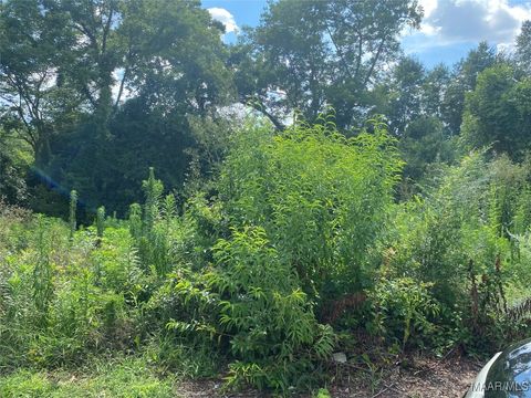 Photo of 1303 Maxey Street, Selma, AL 36701 (MLS # 577901)
