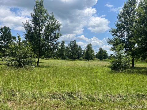 Photo of 0 County Road 953 Road, Orrville, AL 36767 (MLS # 578256)