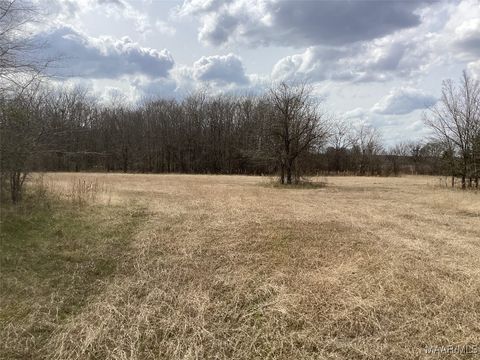 Photo of 1435 Meriwether Road, Pike Road, AL 36064 (MLS # 571869) Photo of 1435 Meriwether Road, Pike Road, AL 36064 (MLS # 571869)