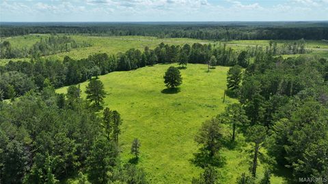 Photo of 0 S Shackleville Road, Georgiana, AL 36033 (MLS # 584934)