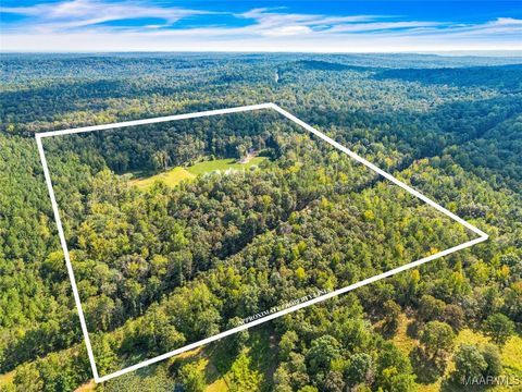 Photo of 880 Wallahatchee Road, Tallassee, AL 36078 (MLS # 579938)