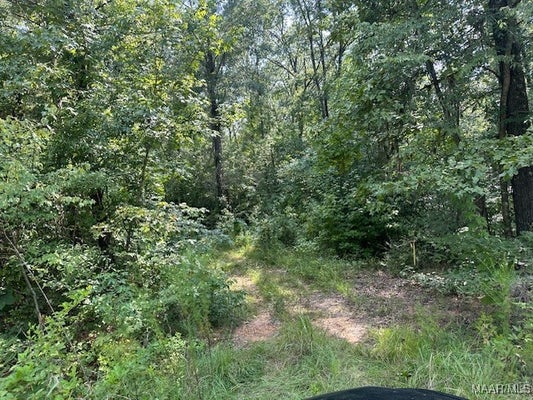 362 BYRDWAY DR, LOWNDESBORO, AL 36752 - Image c12bf6df033df2c298b3c839df6d2c0e/3476385906