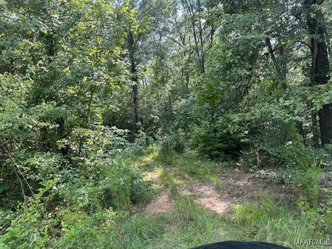 Photo of 362 Byrdway Drive, Lowndesboro, AL 36752 (MLS # 561568) Photo of 362 Byrdway Drive, Lowndesboro, AL 36752 (MLS # 561568)