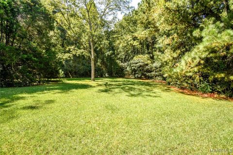 Photo of 7443 Upper River Road, Tallassee, AL 36078 (MLS # 579944)