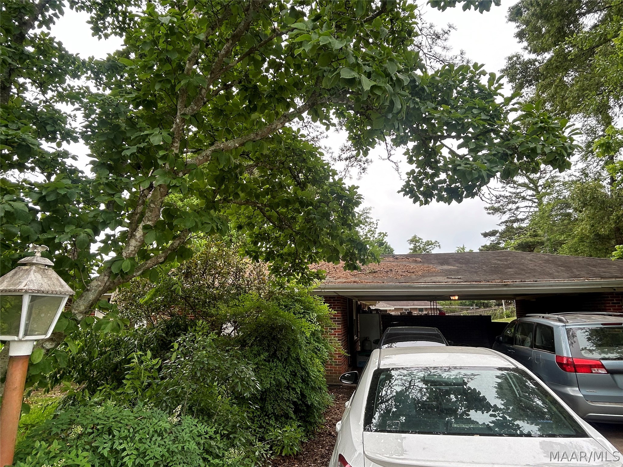 800 Joryne Drive - Photo 4