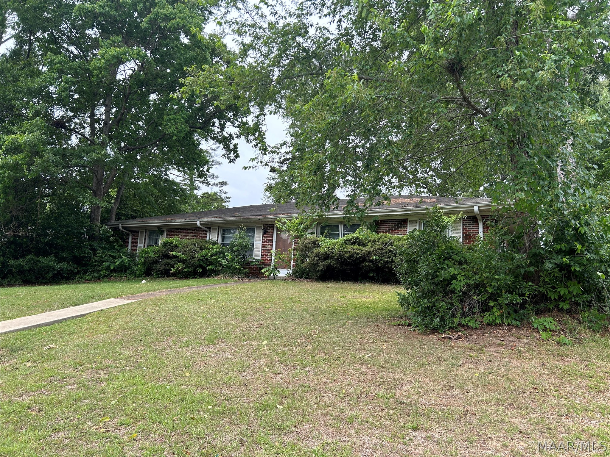 800 Joryne Drive - Photo 2