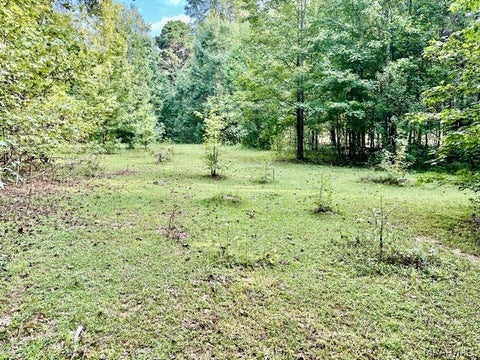 Photo of 1 Mt Hebron Road, Eclectic, AL 36024 (MLS # 590537)