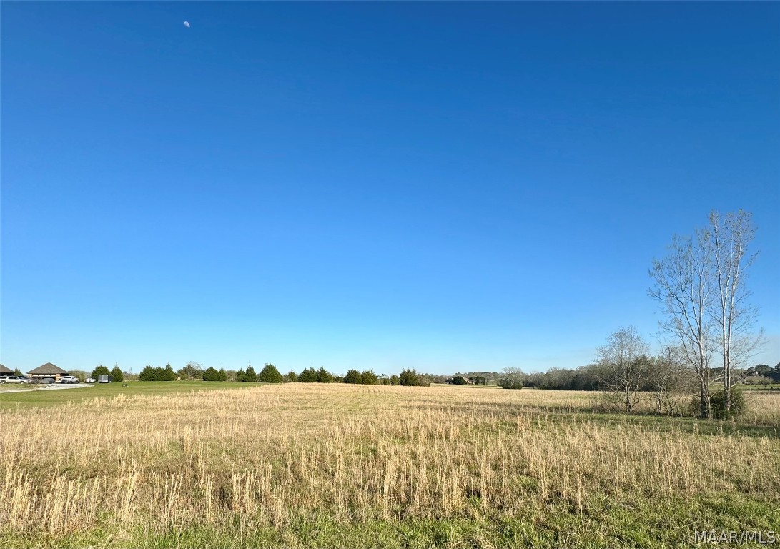 Photo 1 of 1 — LOT 52 KERINGTON Lane, Pike Road, AL 36064