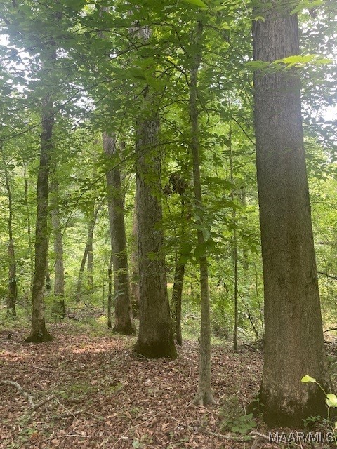 5000 County Road 55 Road