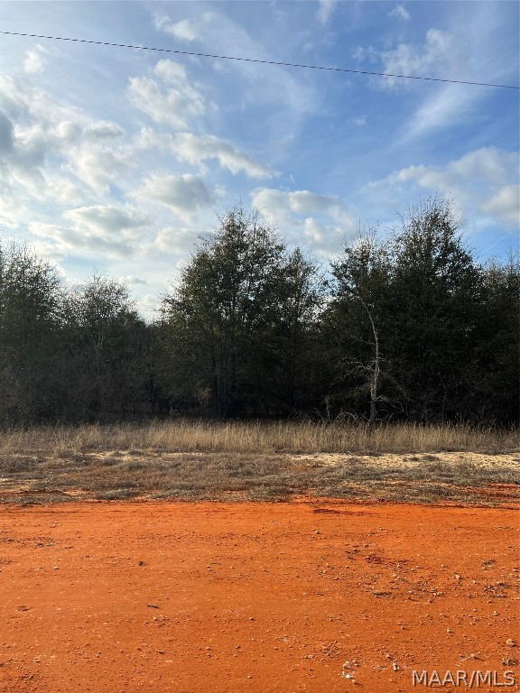 Photo 1 of 1 — Lot 22 Deer Loop, Camden, AL 36726
