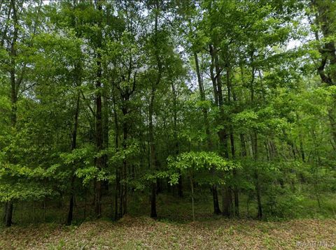 Photo of 0 Pine Grove Road, Tuskegee, AL 36083 (MLS # 586313)