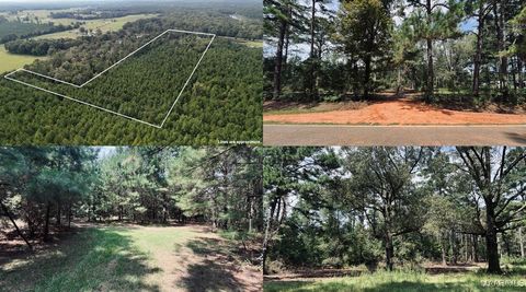 Photo of 16879 Meriwether Trail, Grady, AL 36036 (MLS # 579853)