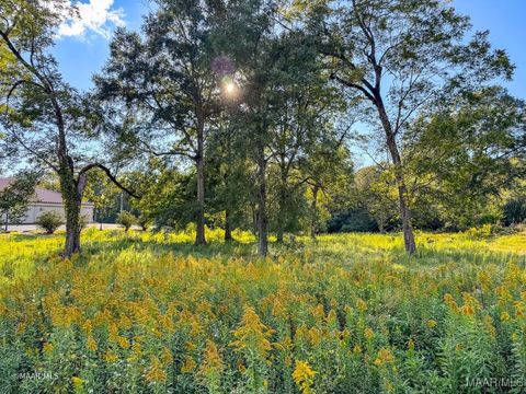 Photo of 0 N Jackson Street, Grove Hill, AL 36451 (MLS # 580949)