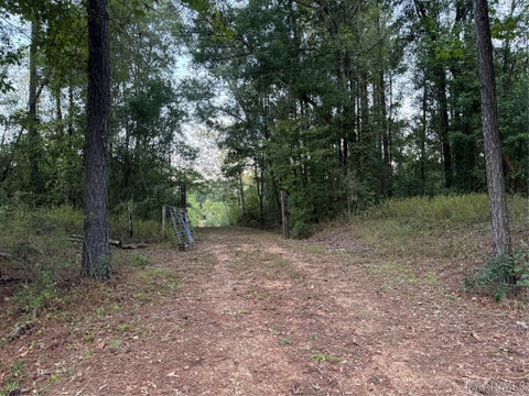 Photo of 993 County Road 80, Selma, AL 36703 (MLS # 591233)