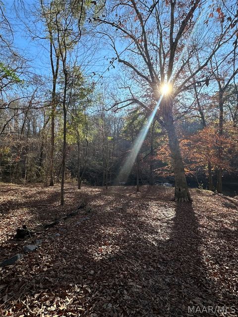 Photo of 0 County Road 432, Titus, AL 36080 (MLS # 583779)