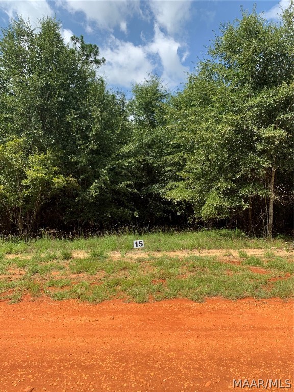 Photo 1 of 4 — Lot 15 Deer Loop, Camden, AL 36726