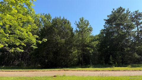 Photo of 13 White Oak Way, Greenville, AL 36037 (MLS # 588413)