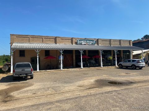 Photo of 14560 Main Highway, Orrville, AL 36767 (MLS # 580223)
