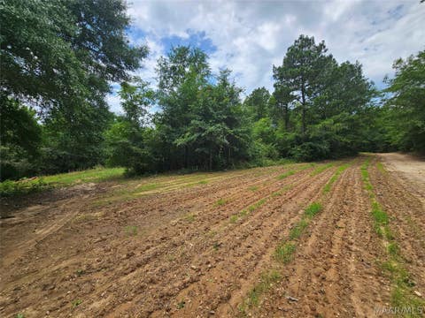 Photo of 2520 Nettie Lane, Billingsley, AL 36006 (MLS # 587800)